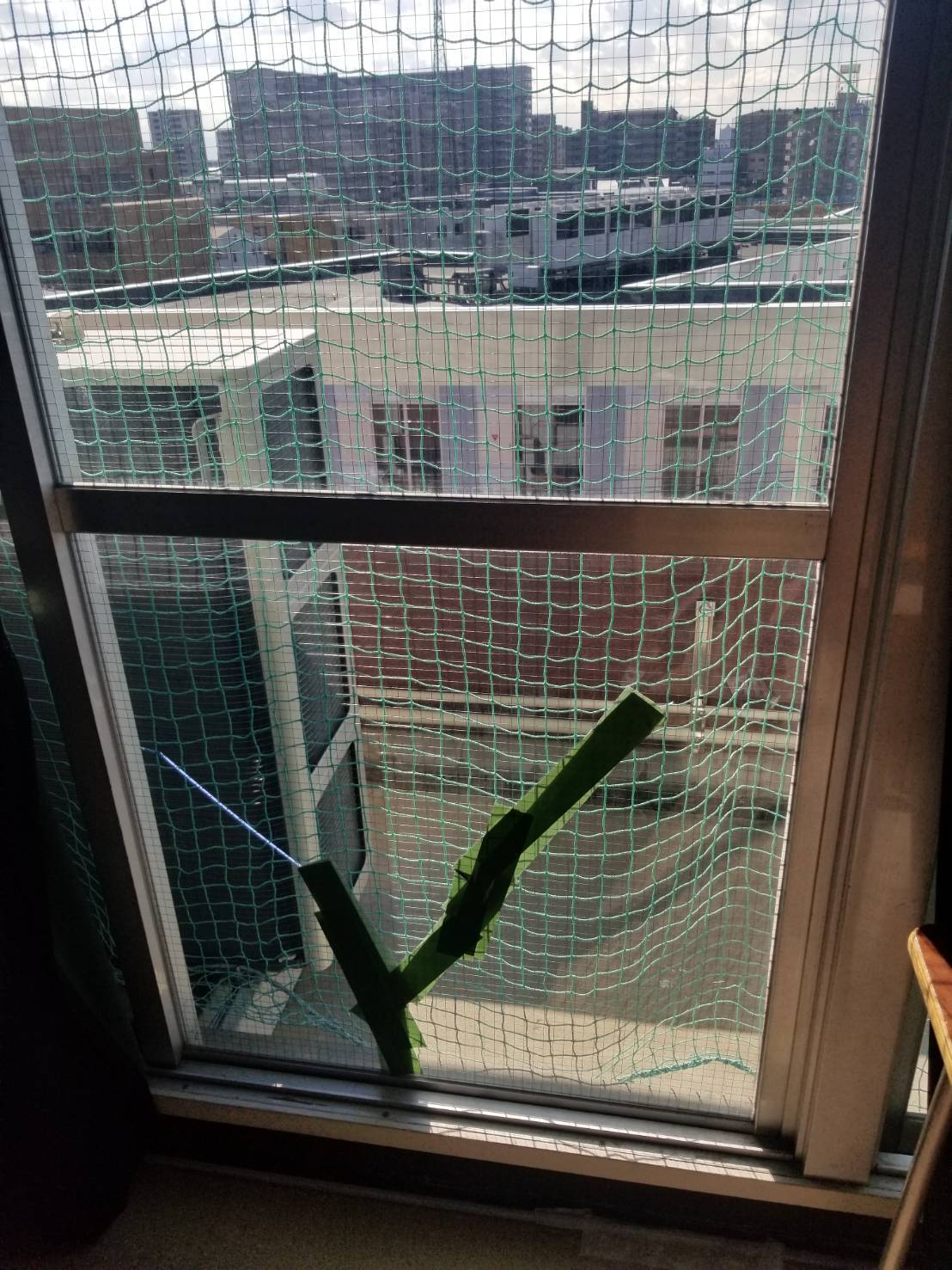 掃出し窓